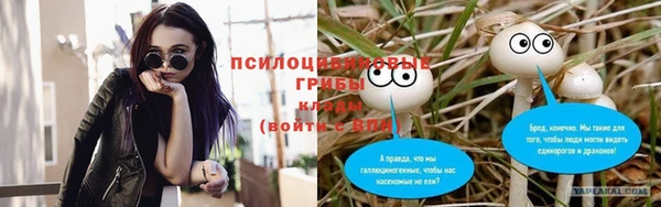 гидра Приозерск