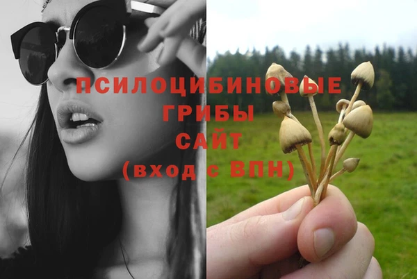 дмт Протвино