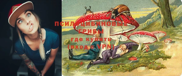 экстази Покачи