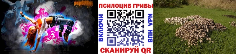купить закладку  Набережные Челны  Галлюциногенные грибы прущие грибы 