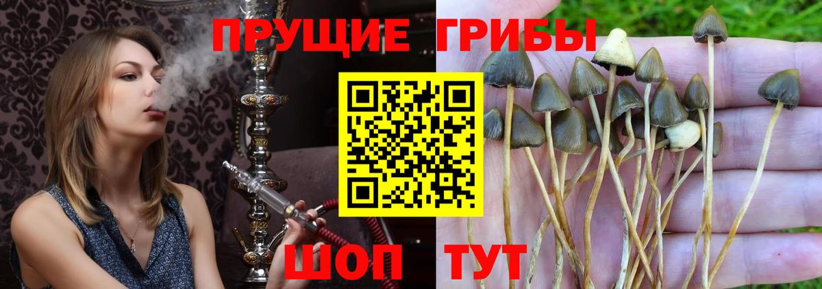 Псилоцибиновые грибы мухоморы Набережные Челны